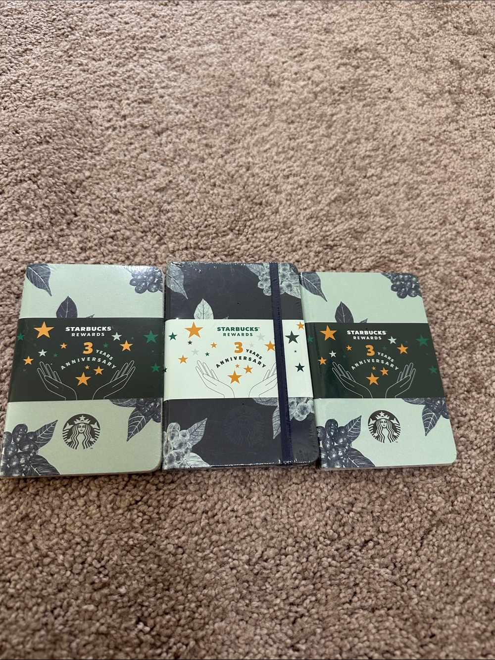 Starbucks Mint Green & Black 3-Notebook Set
